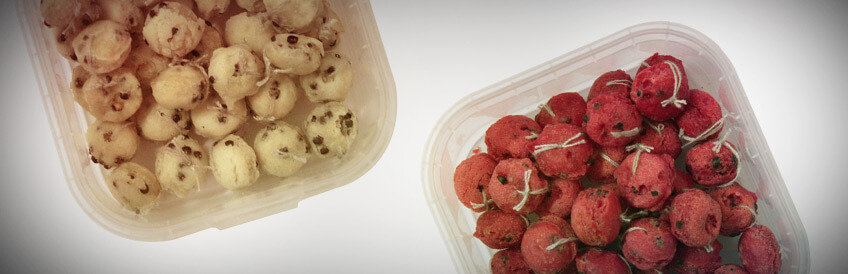 Brot Boilies Brot Boilies