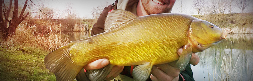 Friedfisch Friedfisch