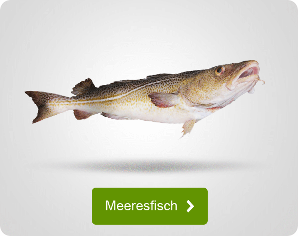 Angebote für das Meeresangeln