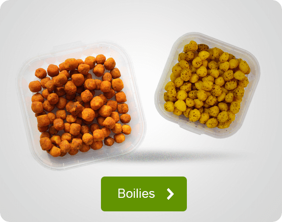 Boilies für Karpfen