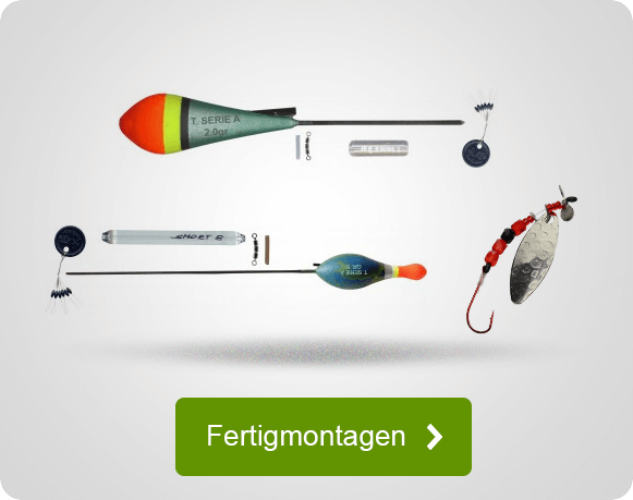 Fertigmontagen für Forelle