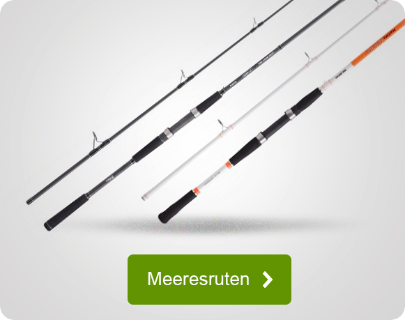 Meeresruten für Angler