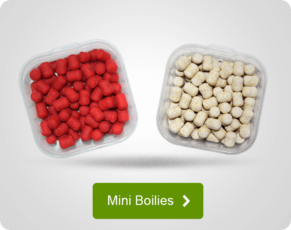 Mini Boilies