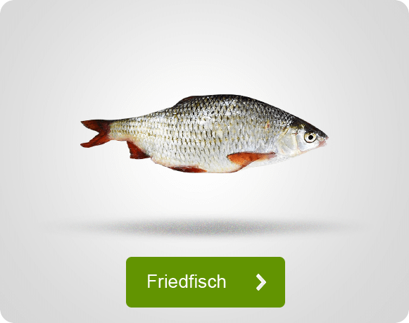 Angebote für das Angeln auf Friedfisch