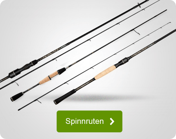 Spinnruten für Angler