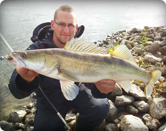 Angler mit Zander