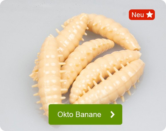 Omura Baits Okto Banane