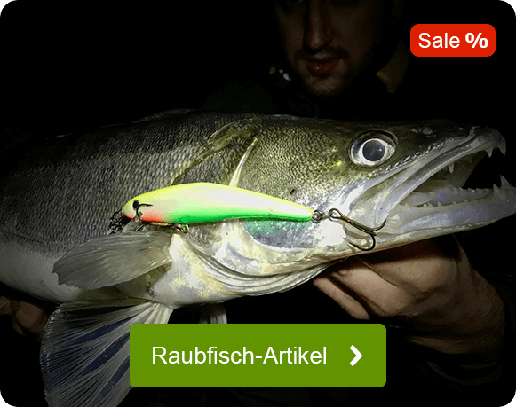 Günstiges Angelzubehör für Raubfisch