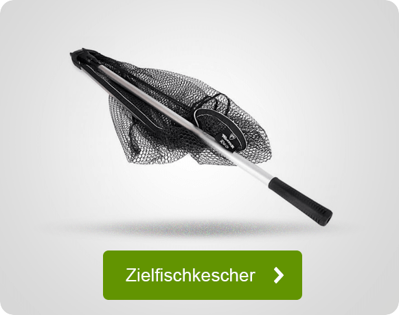 Zielfischkescher