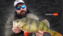 Fischers Gold