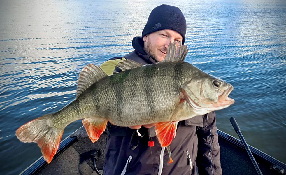 Gefangener Barsch mit INVDR Shad von Fishing Team Heileit