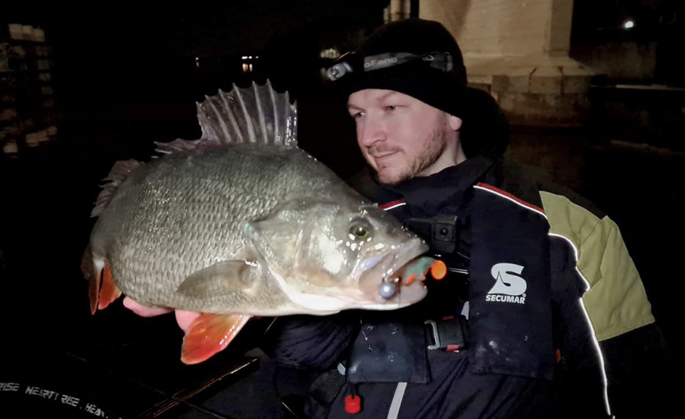 Gefangener Barsch bei Nacht mit dem INVDR Shad