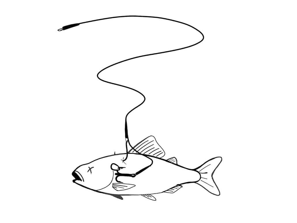 Zeck-Single-Hook-Treble-Rig-2