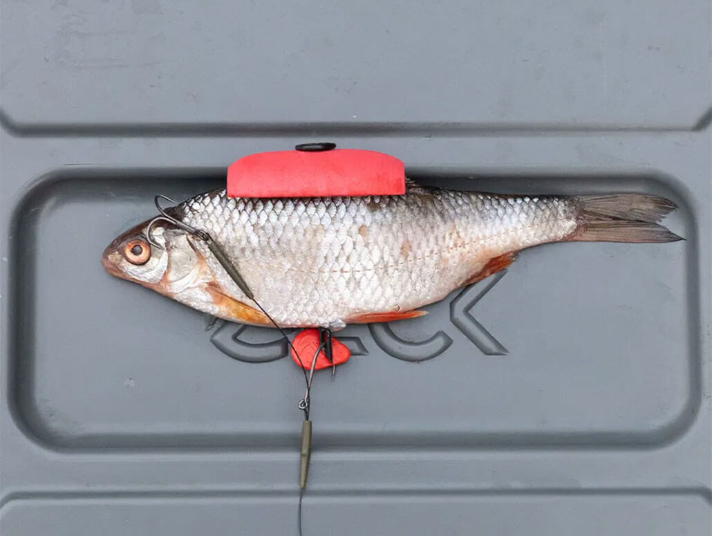 Zeck-Single-Hook-Treble-Rig-4