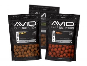 Avid Boilies