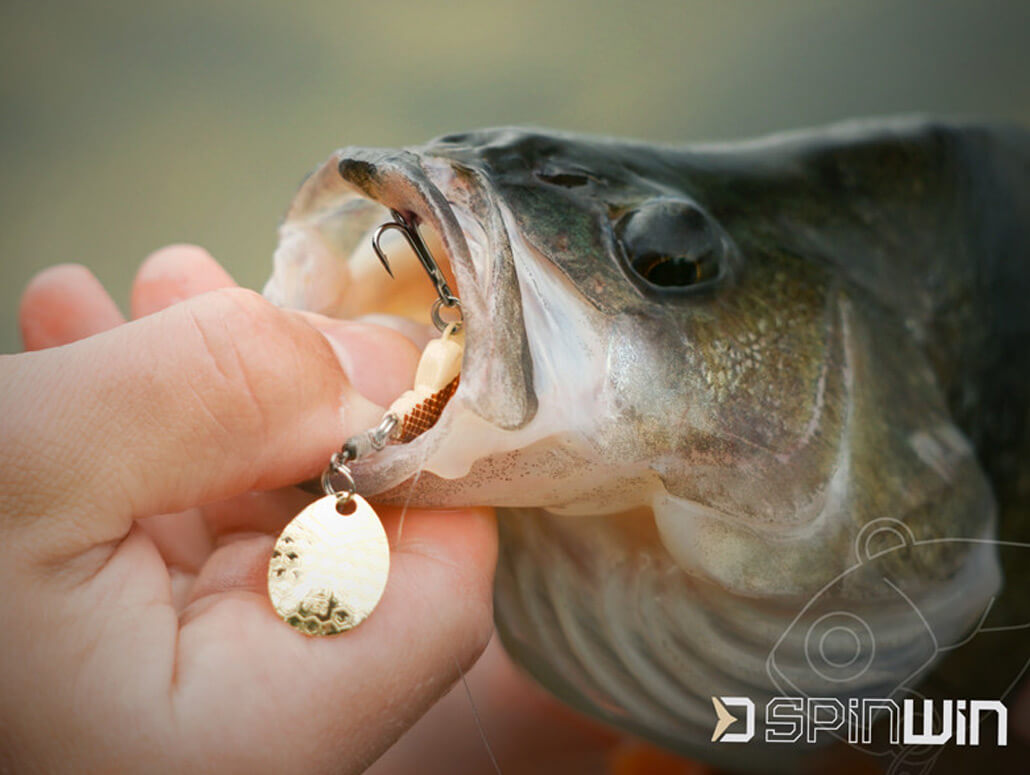 Delphin Spin Win Vibration Bait Zikate Detailbild 2