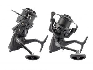 FTM Rolle Dark Runner
